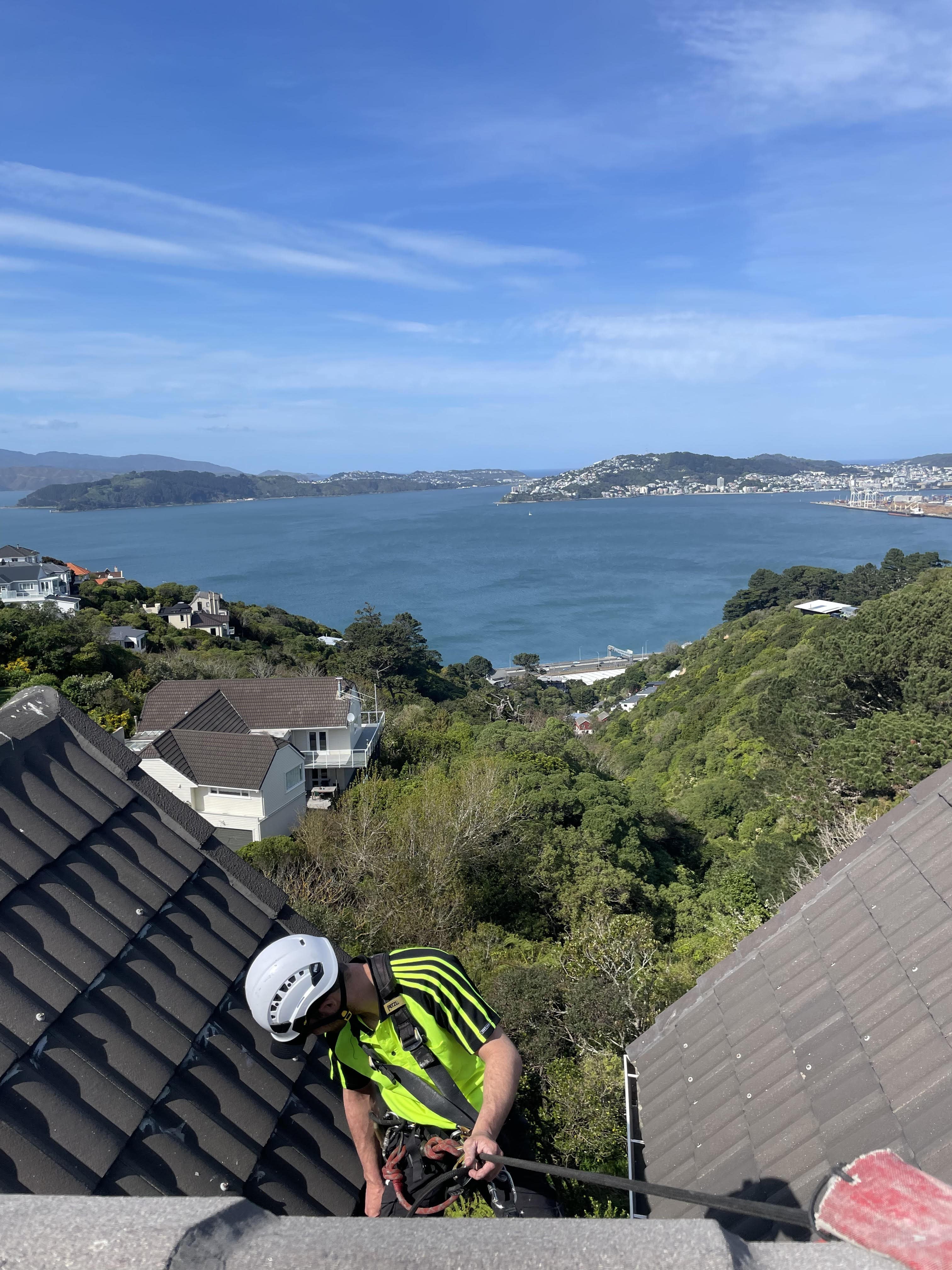 Customer service representative assisting a client